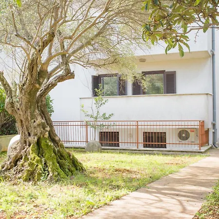 Apartment Zera Porec
